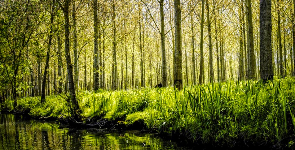 marais poitevin