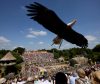 spectacle puy-du-fou