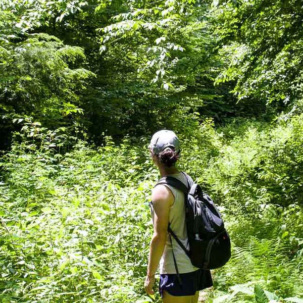 Randonnées en Vendée