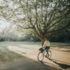 Vélo en Vendée