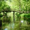 Marais Poitevin